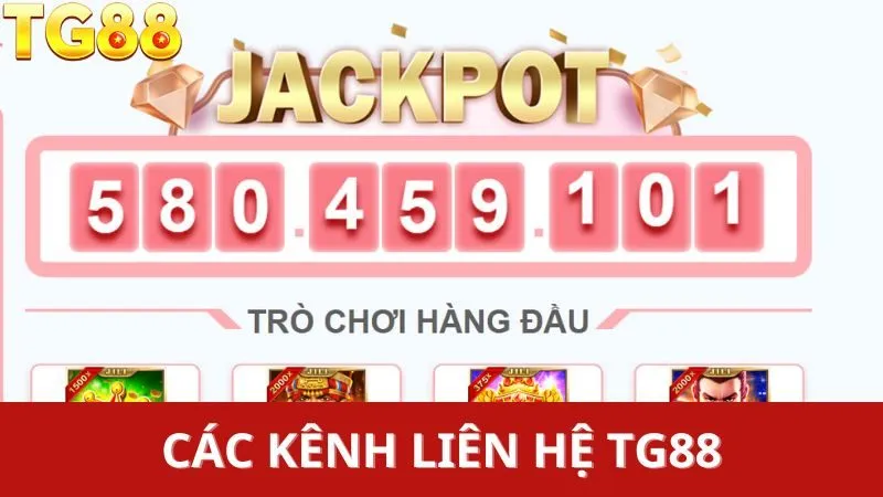 Liên hệ TG88 nhanh chóng hơn bao giờ hết