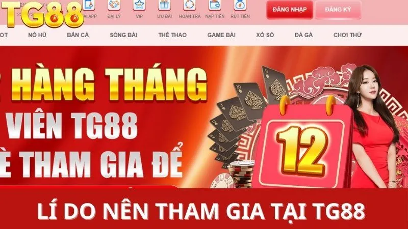 Top nhà cái miễn phí thì có uy tín không?