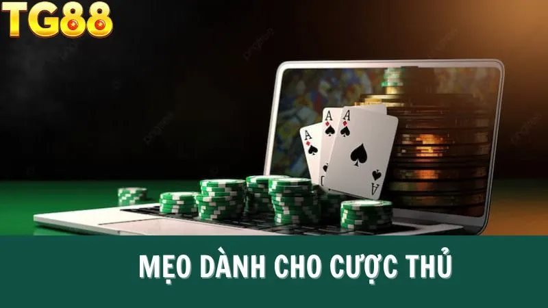 Mẹo chơi SBO Bet để giành được các giải thưởng lớn