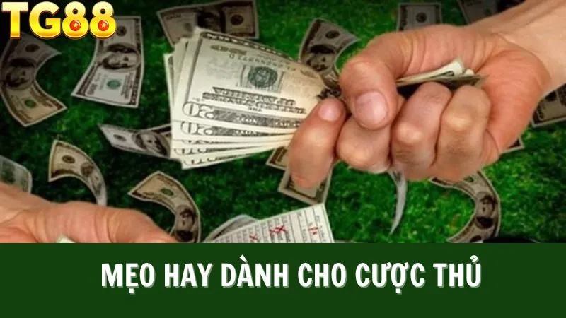 Bí Kíp Chơi tuân thủ Trách Nhiệm Cá Cược TG88 Dành Cho Anh Em