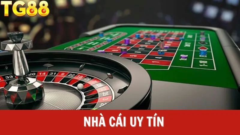 Các môn thể thao hấp dẫn tại SBO Bet