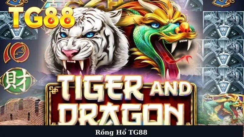 Rồng hổ TG88