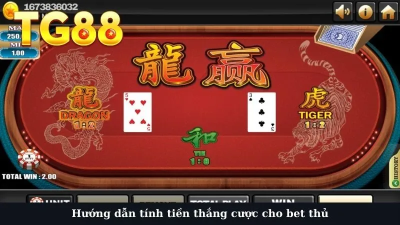 Hướng dẫn tính tiền thắng cược cho bet thủ