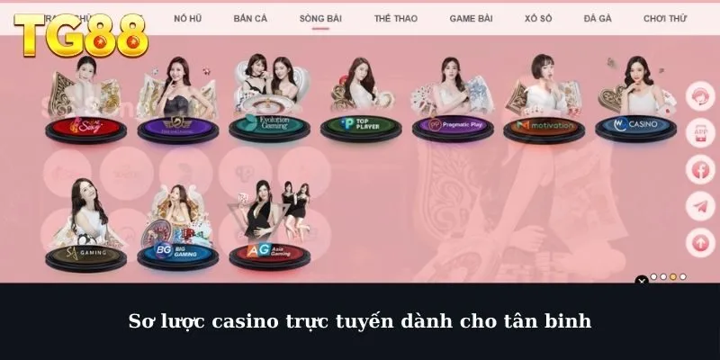 Sơ lược casino trực tuyến dành cho tân binh