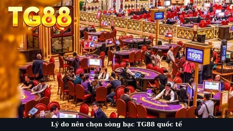 Lý do nên chọn sòng bạc TG88 quốc tế