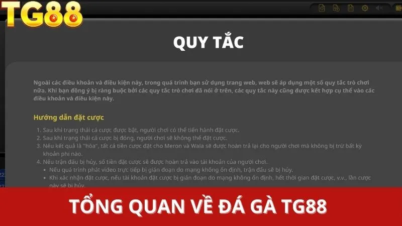 Đấu gà Thomo là loại hình cá cược đá gà được yêu thích tại TG88