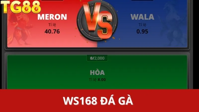 WS168 Đá Gà trên TG88: Trường Gà Trực Tuyến Đỉnh Cao, Đặt Cược Cực Đã