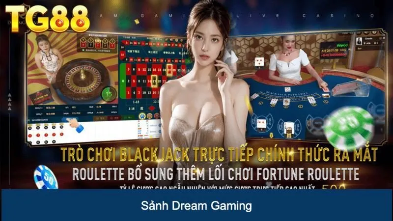 Dream Gaming - Sảnh Game Casino Trực Tuyến Uy Tín Số 1 Tại TG88