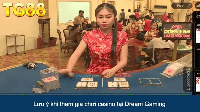 Những lưu ý khi tham gia chơi casino tại Dream Gaming