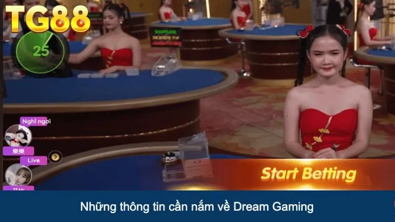 Những thông tin cần nắm về Dream Gaming